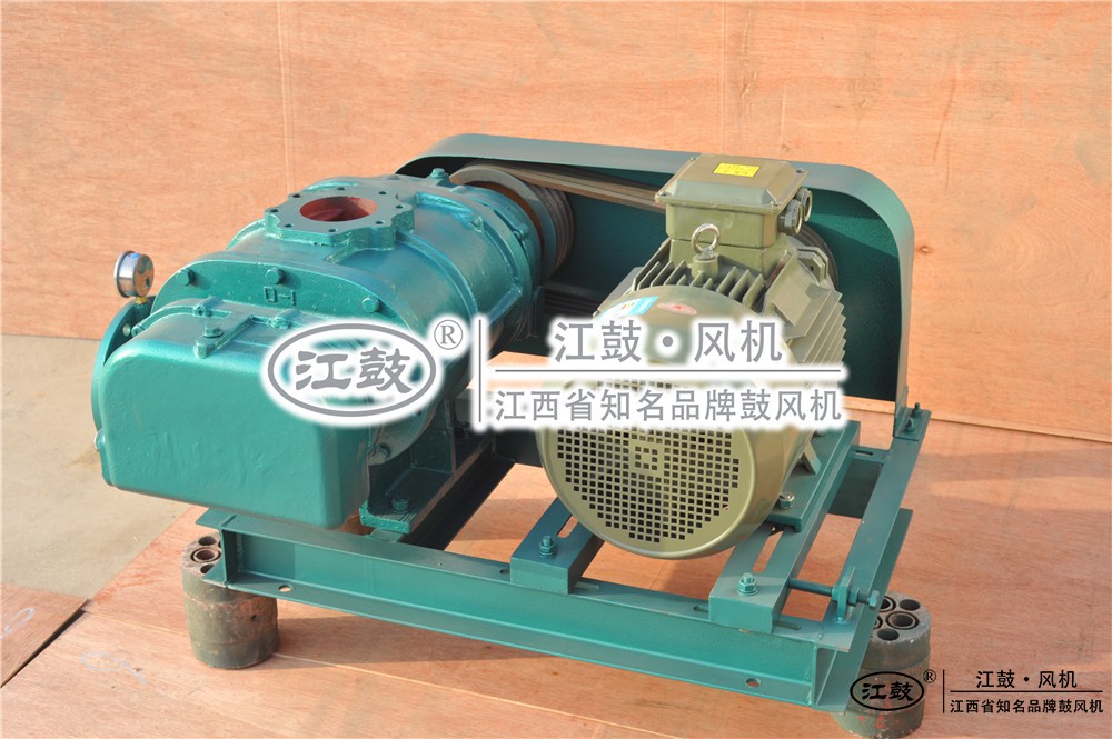 江西綠城羅茨鼓風(fēng)機有限公司