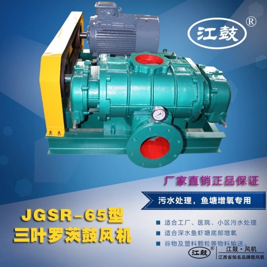 羅茨鼓風(fēng)機JGSR-65型